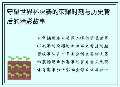 守望世界杯决赛的荣耀时刻与历史背后的精彩故事